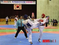 2013년도 국가대표선수 선발 최종대회