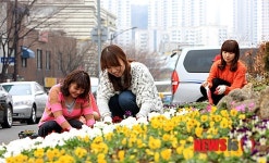 꽃향기 가득, 봄내음 물씬