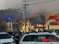 포항 산불로 민가 53가구 피해발생