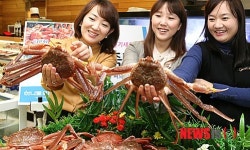 동해 대게 제철맞아 서울나들이