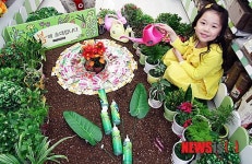 봄맞이 식물 키워보세요!
