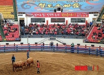청도소싸움 하루매출 2억 돌파…관중도 급증세