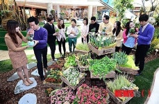 타임스퀘어, 스프링 가든 조성