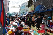 통영 활어시장