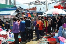 활기 넘치는 통영 활어시장