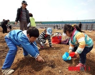 금천구, 금천한내텃밭 개장식 개최