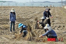 음성군 공무원 휴일 잊고 곳곳서 자원봉사