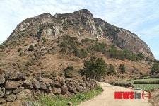 [뉴시스아이즈]자! 떠나자-제주 서귀포 추사유배길