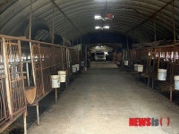 흑염소 불법도축 시설