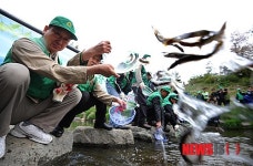 미꾸라지 방류하는 서초구청