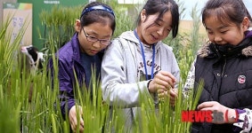 겨울 식량작물, 보리와 밀 이야기 특별전시회