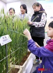 겨울 식량작물, 보리와 밀 이야기 특별전시회