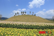 순천정원박람회장 언덕