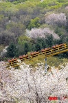 봄 동산의 놀이기구