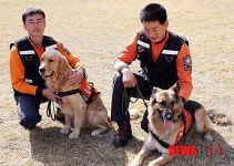 부산소방 인명구조견 세중·천둥 세계대회 출전