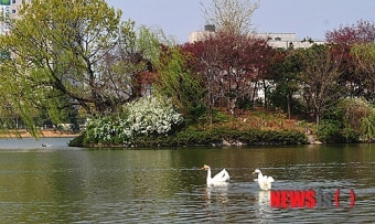 평화로운 오후