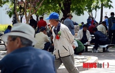 보기 힘든 어르신들의 카네이션