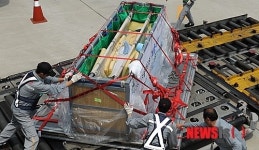 제주에 도착한 제돌이