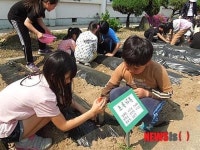 횡성 시골초등학교 무지개 가족 눈길