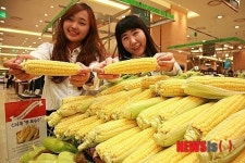 쫀득쫀득 고소한 햇 옥수수 맛보세요!