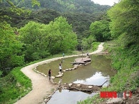 가야산국립공원사무소 해인사 소리길에 생태연못 조성