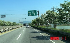 아산시, 여름눈꽃 이팝나무 가로수길 확대
