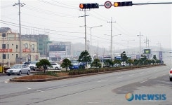 춘천 호반순환도로 소나무 녹색거리로 새단장