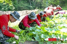 포특사, 농번기 농촌 일손돕기 ‘구슬땀’