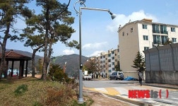 태백시, 보행자 안전 위한 횡단보도 투광등 설치