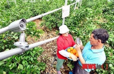 SK 텔레콤 스마트팜