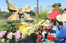 나비꽃 찾아온 어린이