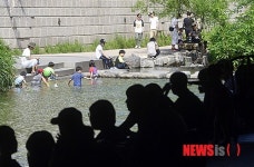 시원한 청계천에서 휴식