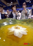 백년안약차실 | '백년차 맛 보세요'