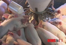 횡성군 축산관련 종사자 농가교육