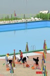한강공원 망원 수영장