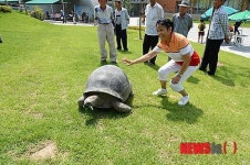 외출한 순천정원박람회 알다브라 거북