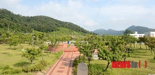 [르포]원전이 준 떡 하나에 두 쪽난 마을 인심