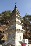 정선 정암사, 다수 유물 출토