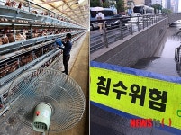 한반도 다른 날씨