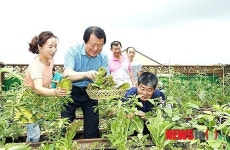 대전시, 아파트 옥상텃밭 하늘농장 개장