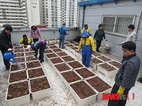 옥수동주민센터 옥상 텃밭 수확물 어르신께 전달