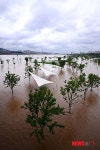 잠겨버린 한강시민공원