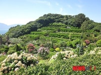 거제 외도보타니아