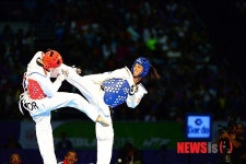 한국 이인종, 세계태권도선수권대회 은메달