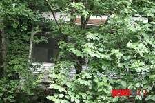 군 부대 청정계곡에 불법 설치한 방가로