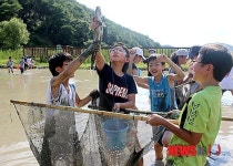 태안 매화둠벙마을 ‘외갓집 여름 체험학교’ 인기