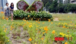 경의선 꽃길따라!