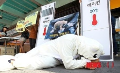 에너지 절전, 북극곰이 살게 해주세요