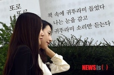 교보생명빌딩 광화문 글판 가을편 새단장