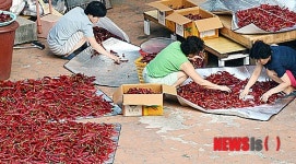 가을 볕에 고추 말리는 주부들